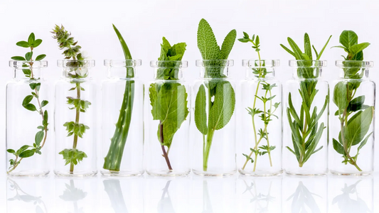 What Is Aromatherapy?